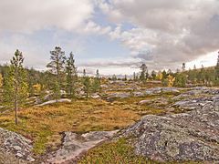 Øvre Dividal national park