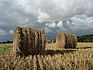 Harvest time