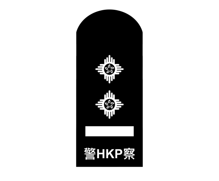 File:HKPF SIP.png