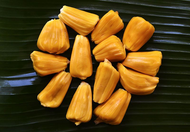 File:Jackfruit Flesh.jpg