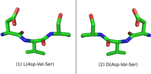 L-Peptide Asp-Val-Ser and its mirror image.