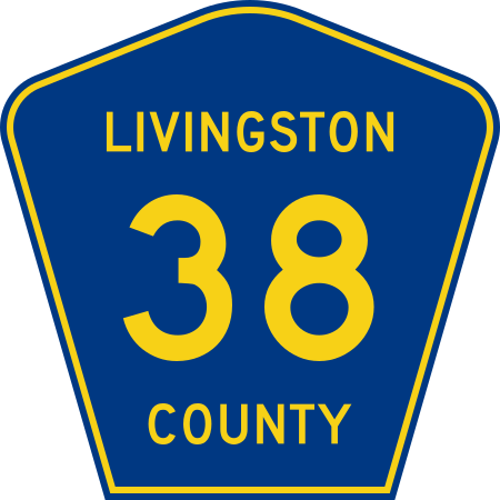 File:Livingston County 38.svg