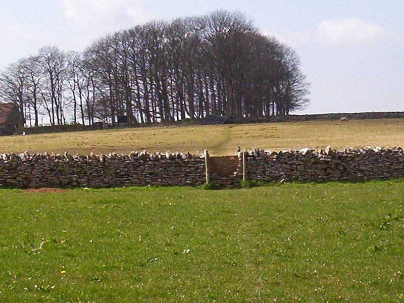 File:Mendip copse.jpg