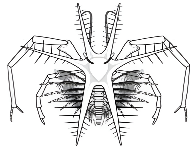 File:Mimetaster diagram.png