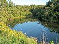 Mineral River in Ontonagon County