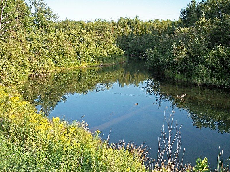 File:Mineral River upstream.jpg