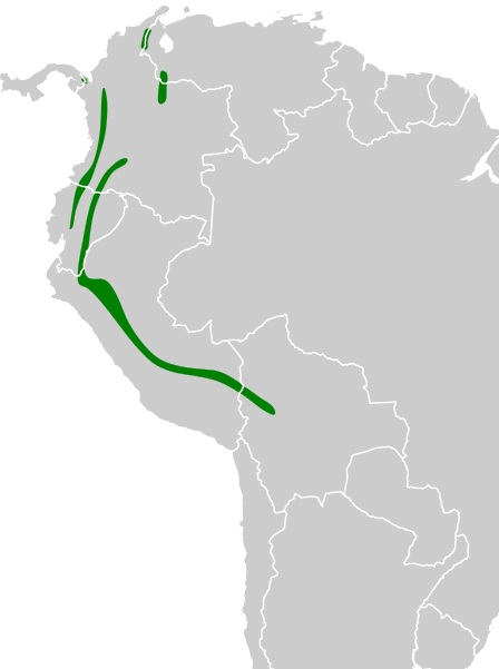 File:Myiobius villosus map.svg