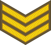 File:New Zealand-Army-OR-6.svg