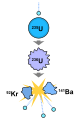 Image 37Induced fission reaction. A neutron is absorbed by a uranium-235 nucleus, turning it briefly into an excited uranium-236 nucleus, with the excitation energy provided by the kinetic energy of the neutron plus the forces that bind the neutron. The uranium-236, in turn, splits into fast-moving lighter elements (fission products) and releases several free neutrons, one or more "prompt gamma rays" (not shown) and a (proportionally) large amount of kinetic energy. (from Nuclear fission)