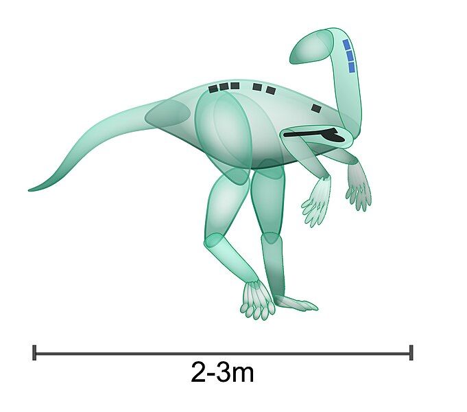 File:Nyasasaurus.jpg