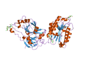 2odq: Complement component C2a, the catalytic fragment of C3- and C5-convertase of human complement