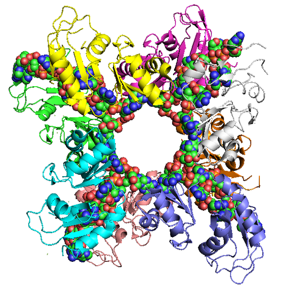 File:Poly(A)-binding protein.png