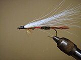 Royal Coachman Bucktail