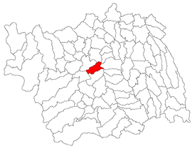 Location in Bacău County