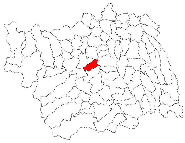 File:Sanduleni jud Bacau.png