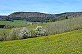 Schafberg, Schwäbische Alb