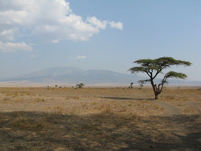 File:Serengeti - plains.jpg