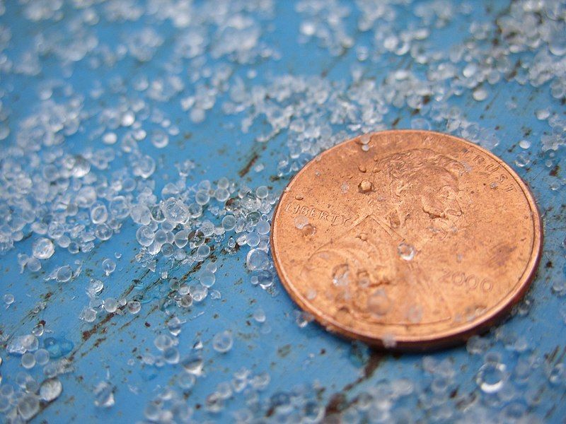 File:Sleet (ice pellets).jpg