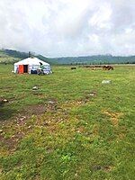 Yurt locals