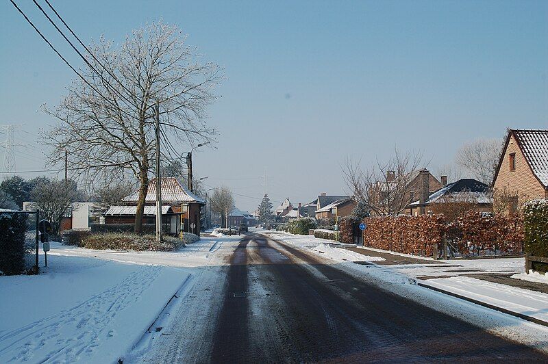 File:Zemst-Bos februari 2012.JPG