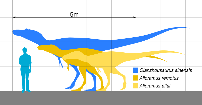 File:Alioramini Scale.svg