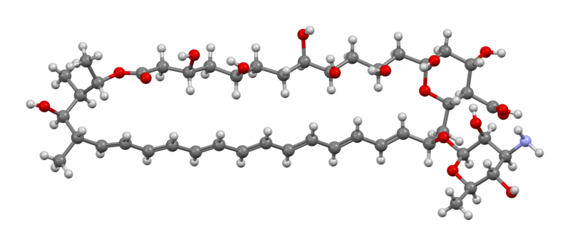 File:Amphotericin-B-based-on-iodoacetyl-xtal-Mercury-3D-bs.png