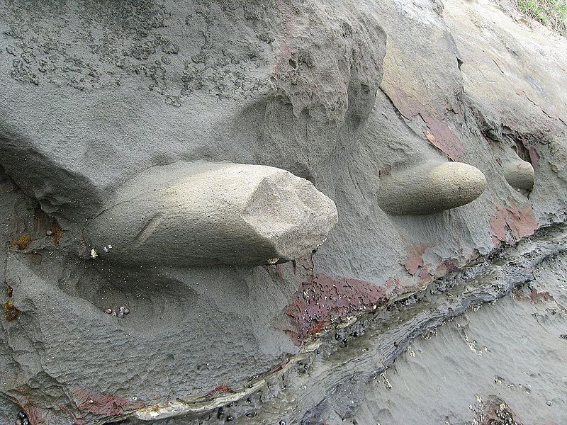 File:Archilles point concretions.jpg