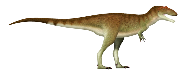 File:Asiatyrannus UDL.png