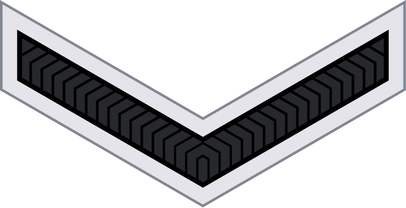 File:Assam Rifles OR-3.svg