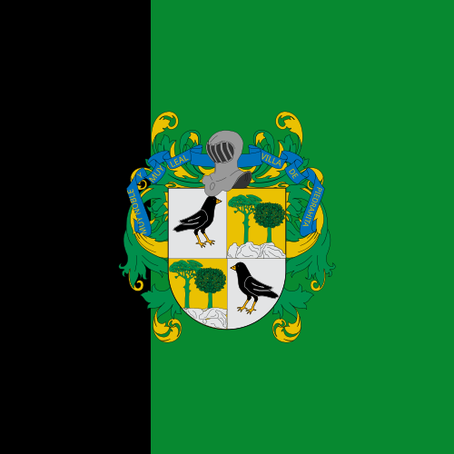 File:Bandera de Piedrahita.svg