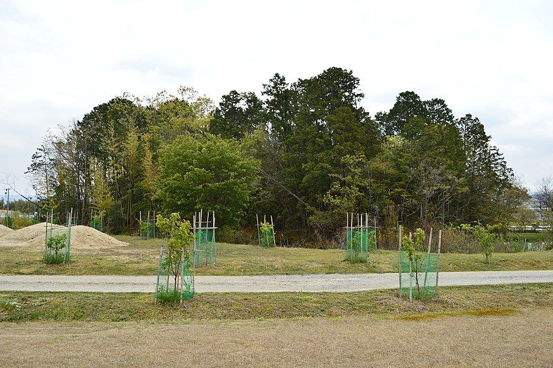 File:Bishamonzuka Kofun, funkyu.jpg