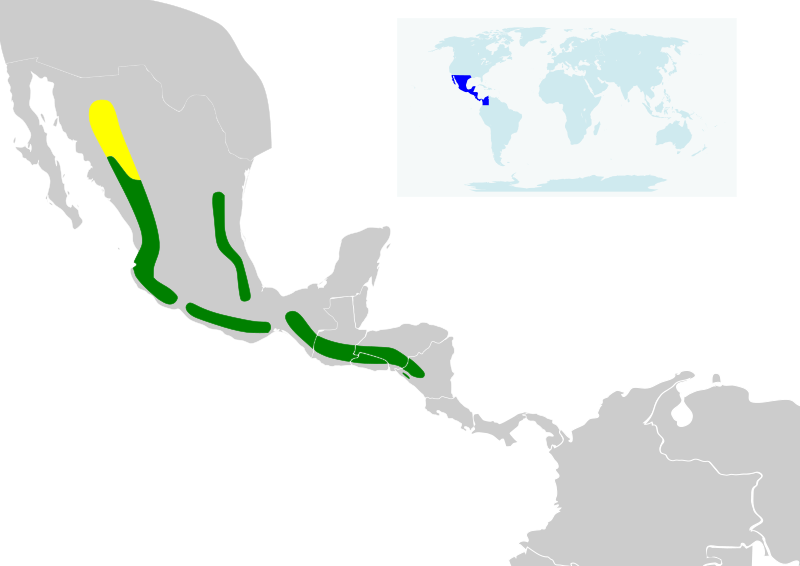 File:Euthlypis lachrymosa map.svg