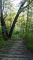 Lakeshore Trail