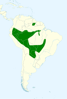 Map showing range I. croconotus