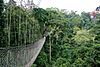 Canopy walkway in Kakum National Park