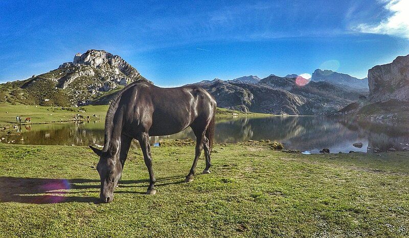 File:Lago Ercina 2015.jpg