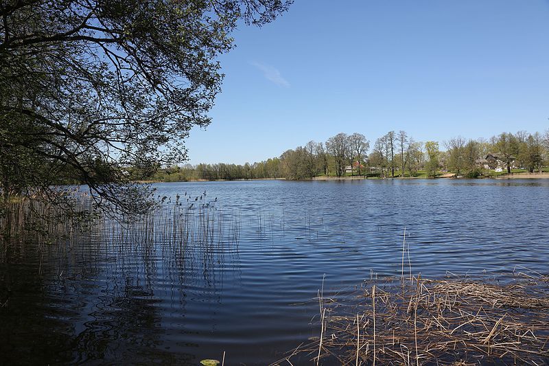 File:Lake Auksi 2016.JPG