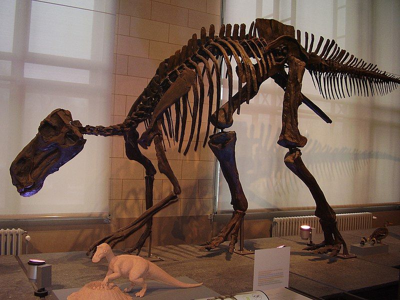 File:Maiasaura skeleton.jpg