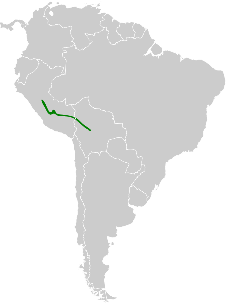 File:Phylloscartes parkeri map.svg