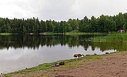 View of lake