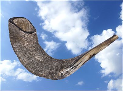 Shofar - Jewish ritual horn