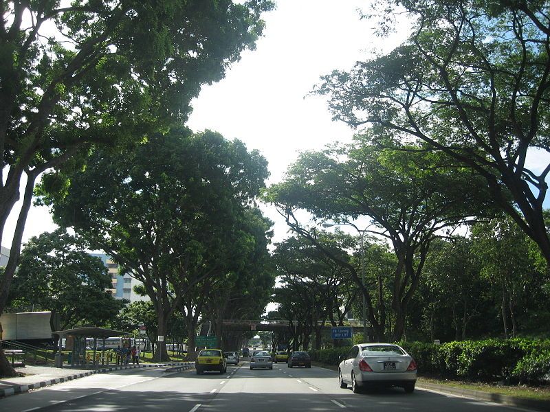 File:Simei Avenue.JPG