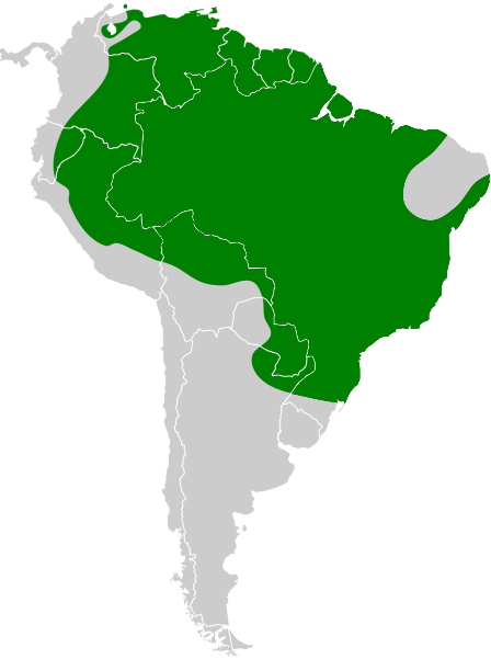 File:Tityra cayana map.svg