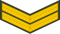 File:Zimbabwe-Army-OR-4.svg