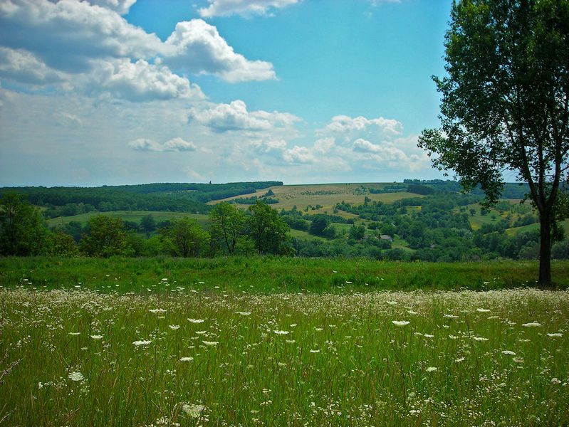 File:Холодноярський краєвид.jpg