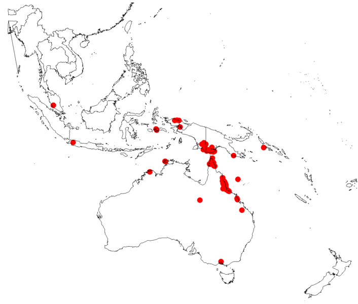 File:Acacia mangiumDistMap574.png