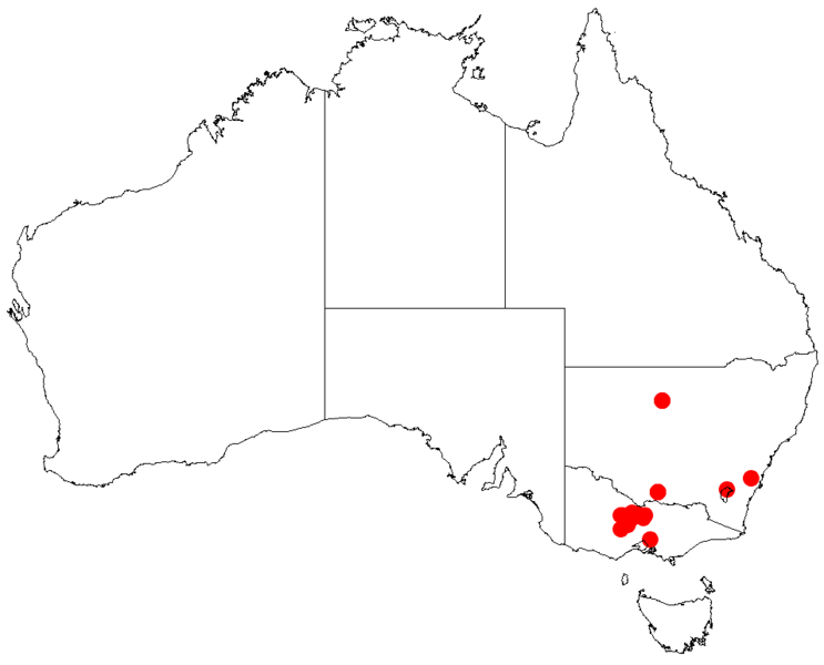 File:Acacia williamsoniiDistMap963.png