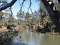 The Murrumbidgee River at Balranald