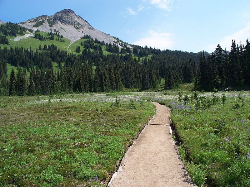 File:Black Tusk trail.jpg