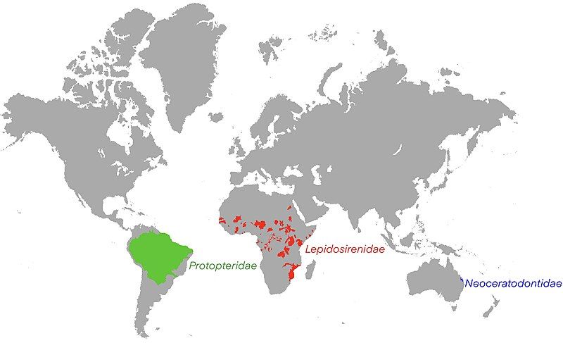 File:Ceratodontiformes range.jpg